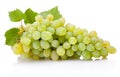 Fresh bunch of green grapes with leaves isolated on white background Royalty Free Stock Photo