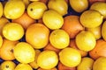 Fresh bunch of lemons and oranges Royalty Free Stock Photo