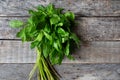 Mexican epazote herb on wooden background