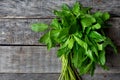 Mexican epazote herb on wooden background
