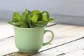 Fresh bunch of mint on wooden table Royalty Free Stock Photo