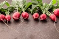 Fresh bunch of radish on wooden table. Royalty Free Stock Photo