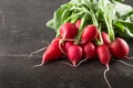 Fresh bunch of radish on wooden table Royalty Free Stock Photo