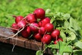 Fresh bunch of radish on wooden table Royalty Free Stock Photo