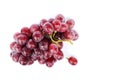 Fresh Bunch of red grapes on white backgrounds include clipping path Royalty Free Stock Photo