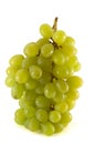 Fresh bunch of ripe green grape Royalty Free Stock Photo