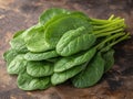 fresh bunch of spinach