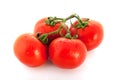 Fresh bunch tomatoes Royalty Free Stock Photo