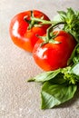 Fresh tomatoes with basil leaves on rustic background