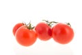 Fresh bunch tomatoes Royalty Free Stock Photo