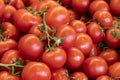 Fresh bunch tomatoes in the super market. Close up Royalty Free Stock Photo