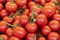 Fresh bunch tomatoes in the super market. Close up Royalty Free Stock Photo