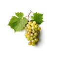 Fresh bunch of white grapes with green leaves isolated with a white background Generative AI Illustration Royalty Free Stock Photo