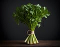 Fresh Bundle of Flat-Leaf Parsley on Dark Background Royalty Free Stock Photo