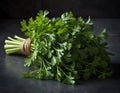 Fresh Bundle of Flat-Leaf Parsley on Dark Background Royalty Free Stock Photo