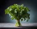 Fresh Bundle of Flat-Leaf Parsley on Dark Background Royalty Free Stock Photo