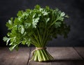 Fresh Bundle of Flat-Leaf Parsley on Dark Background Royalty Free Stock Photo