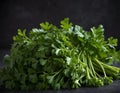Fresh Bundle of Flat-Leaf Parsley on Dark Background Royalty Free Stock Photo