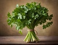 Fresh Bundle of Flat-Leaf Parsley on Dark Background Royalty Free Stock Photo