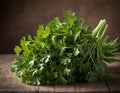 Fresh Bundle of Flat-Leaf Parsley on Dark Background Royalty Free Stock Photo
