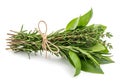 Fresh Bundle of Rosemary, Thyme, and Basil Herbs Tied with Twine Royalty Free Stock Photo