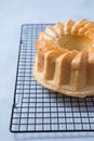 Fresh Bundt Cake