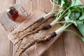 Burdock roots and tincture on a table Royalty Free Stock Photo