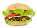 Fresh burger with beef, cheese, onion and tomatoes