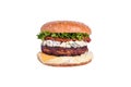 Fresh burger with chicken cutlet, dorblu cheese, sun-dried tomato, cheddar cheese, lettuce mix, dorblu sauce isolated on