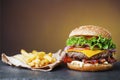 Fresh burger with french fries Royalty Free Stock Photo