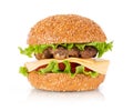 Fresh burger gamburger isolated on a white background Royalty Free Stock Photo