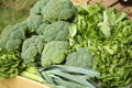 Fresh butterhead lettuce, broccoli and leek