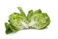 Fresh butterhead salad isolated on white background