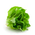 Fresh butterhead salad lettuce isolated on white