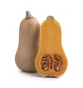 Fresh butternut squash isolated on a white Royalty Free Stock Photo