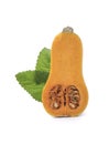 Fresh butternut squash isolated on a white Royalty Free Stock Photo