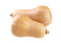 Fresh butternut squash isolated on a white background Royalty Free Stock Photo