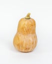 Fresh butternut squash on white background