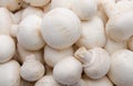 Fresh button mushrooms Royalty Free Stock Photo