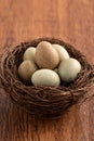 Fresh button quail eggs in a nest on wooden table background Royalty Free Stock Photo