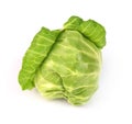 Fresh cabbage Royalty Free Stock Photo