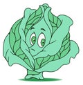 Fresh cabbage cartoon