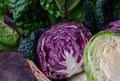 Fresh cabbage, chard and kale leaves in basket on dark background Royalty Free Stock Photo