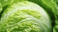 fresh cabbage cut half and water drop with full frame. Generative AI Royalty Free Stock Photo