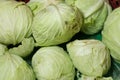 Fresh cabbage from farm field. Close up macro view of green cabbages. Vegetarian food concept. Royalty Free Stock Photo