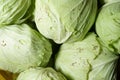 Fresh cabbage from farm field. Close up macro view of green cabbages. Vegetarian food concept. Royalty Free Stock Photo