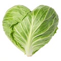 Fresh Cabbage in Heart Shape isolated on white background Royalty Free Stock Photo