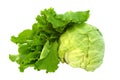 Fresh cabbage and lettuce isolated on white Royalty Free Stock Photo