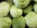 Fresh cabbage on the market. Background Royalty Free Stock Photo