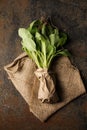 cabbage seedling in a paper bag on a dark background Royalty Free Stock Photo